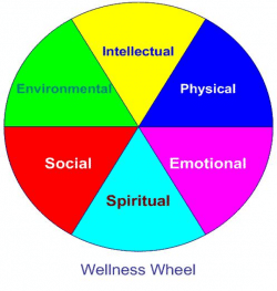 wellness wheel